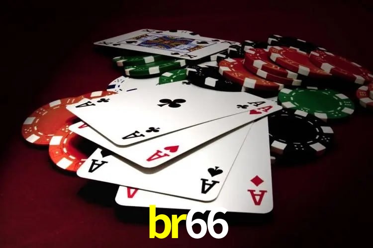 cassino br66