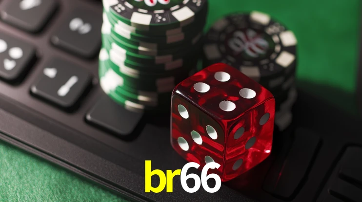 Flash Promotion br66